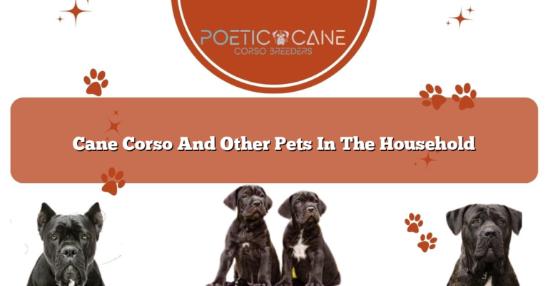 Cane Corso And Other Pets In The Household