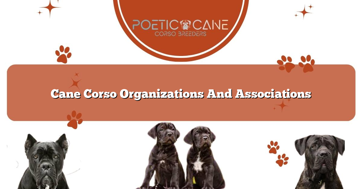 Cane Corso Organizations And Associations