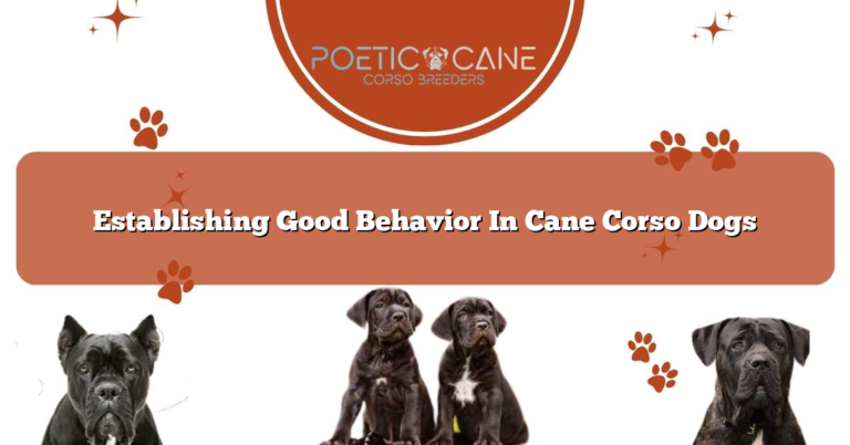 Establishing Good Behavior In Cane Corso Dogs