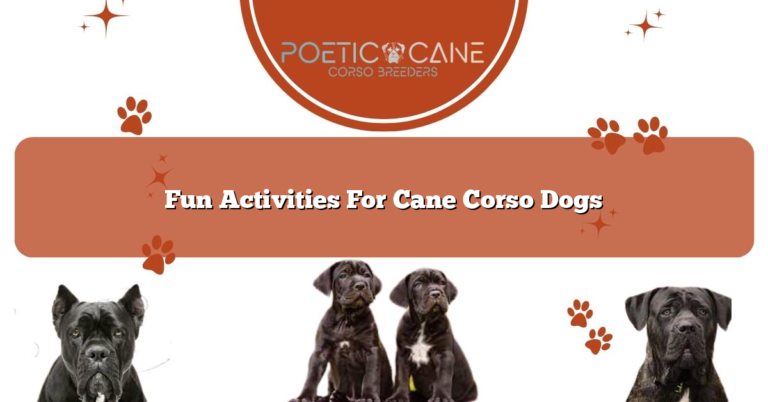 Fun Activities For Cane Corso Dogs