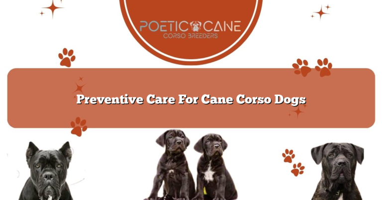 Preventive Care For Cane Corso Dogs